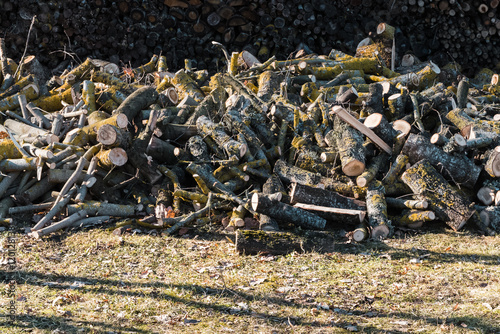 Sawn logs of firewood in a large pile on the ground, sunny spring day. photo