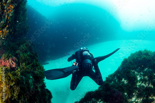 Wallpaper Mural scuba diver in wetsuit and fins diving near sandy bottom of deep blue ocean with school of fish, concept of underwater adventure and active lifestyle Torontodigital.ca