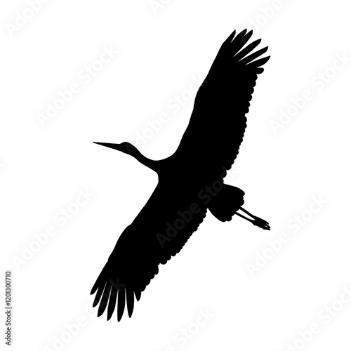 Silhouette of a stork. Bird. Black color.