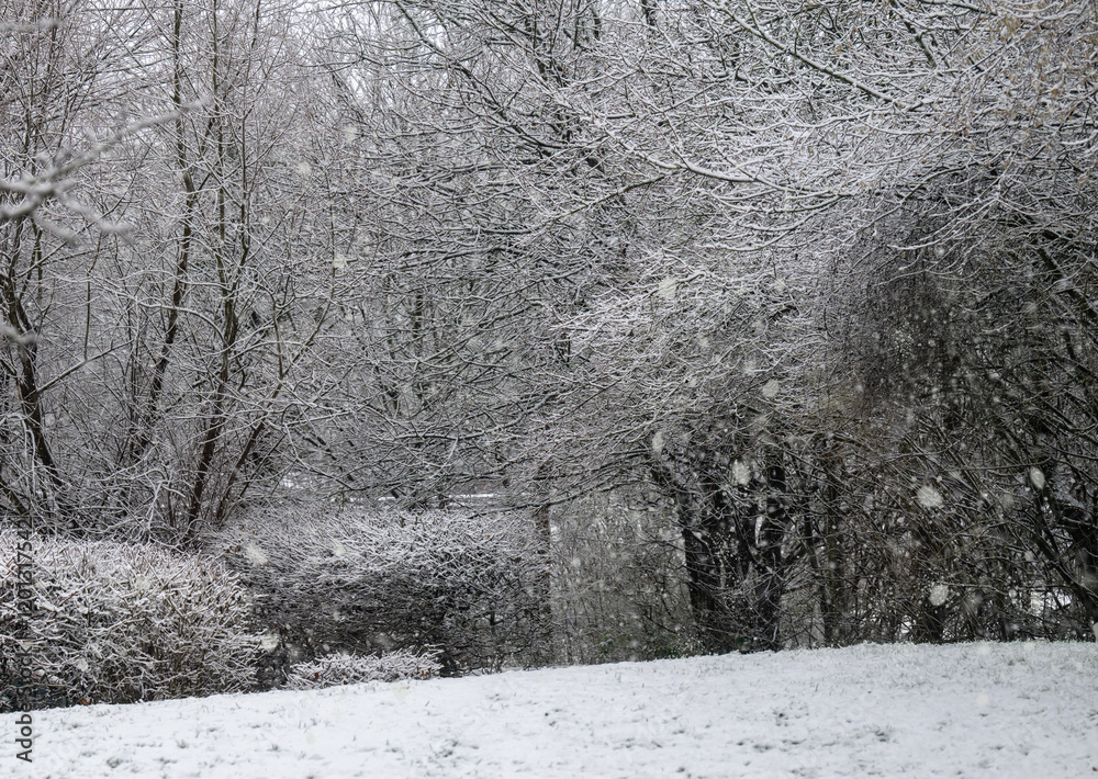 Schneefall und Temperaturen unter Null Grad im Januar in Norddeutschland
