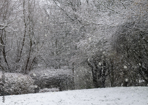 Obraz na płótnie Schneefall und Temperaturen unter Null Grad im Januar in Norddeutschland w salonie