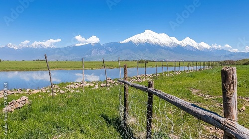 Snow-capped Mountain and Serene Field