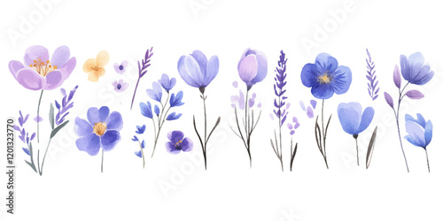Set of watercolor blue wildflowers and lavender, isolated on a white background.