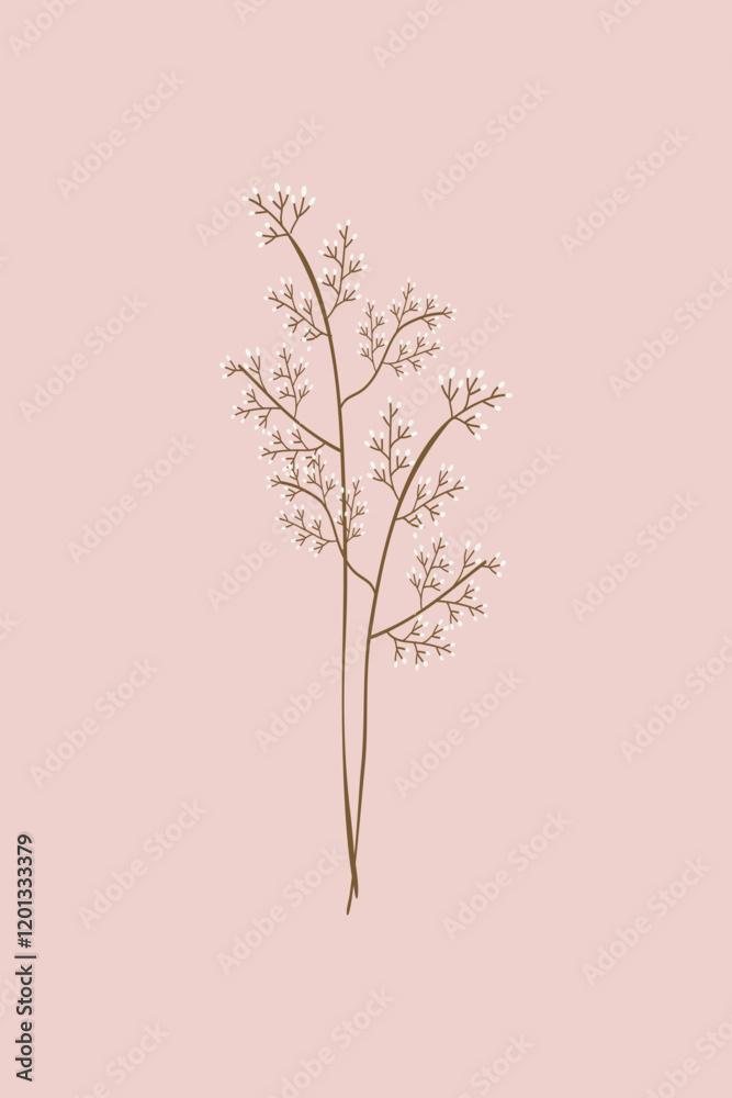 Feminine dried flower illustration vector Feminine dried flower illustration vector