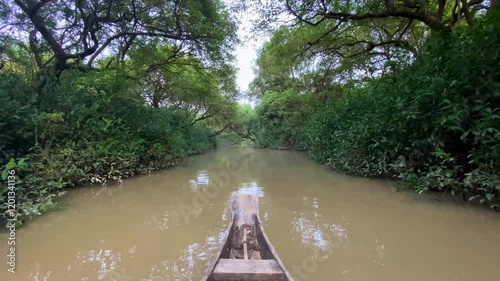 Floating on the muddy water in Ratargul Swamp Forest, boat point of view photo