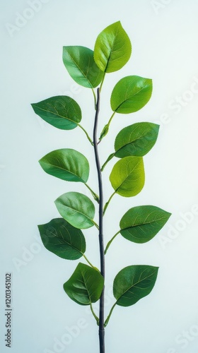 Elegant green leaf branch on a light background showcasing nature's beauty an...