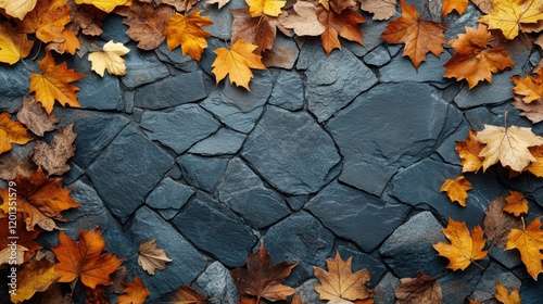 A sophisticated autumn theme with crimson red leaves gracefully placed on a dark navy slate background, creating a dramatic and rich composition