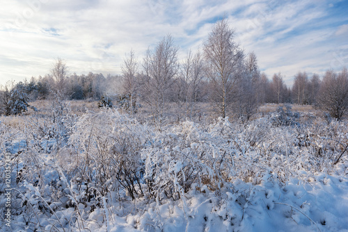A frosty winter morning in Russia