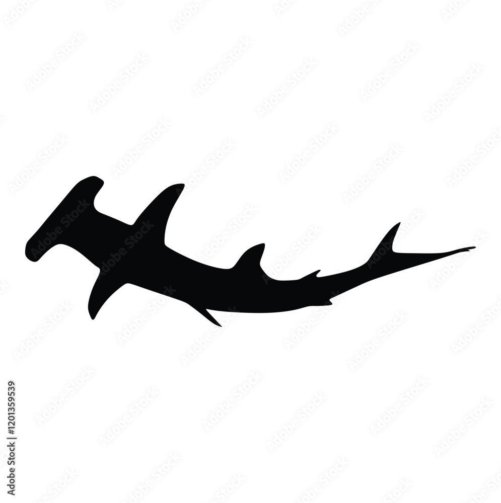 Hammerhead shark, vector Hammerhead shark, vector
