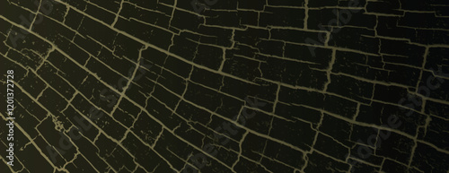 Dark green background with cracked texture. The background has an abstract style. Green lines create a web-like pattern on the background. Cracked texture vintage background vector
