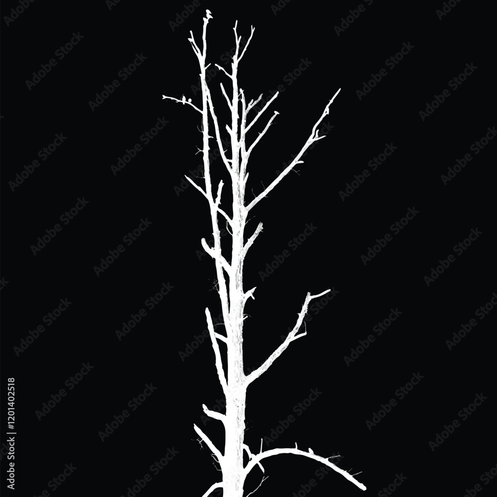 Fototapeta premium Silhouette of bare tree with branches isolated on black background. Black and white vector illustration 