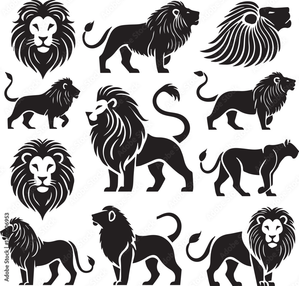 Fototapeta premium Lion vector illustration in black and white