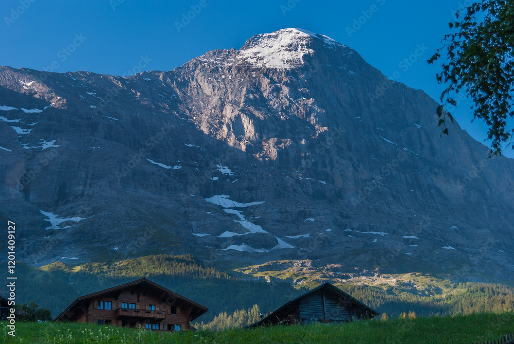 Obraz premium Fabulous Alpine wooden houses, beautiful mountains and the famous tourist town of Grindelwald on the North side of the Eiger mountains Bernese Oberland Switzerland Europe.
