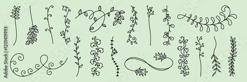 Decorative Vector set. Hand-drawn floral doodles with vines and leaves. Decorative floral elements, floral designs, and floral patterns on a light green background. Hand drawn ornament vector set.