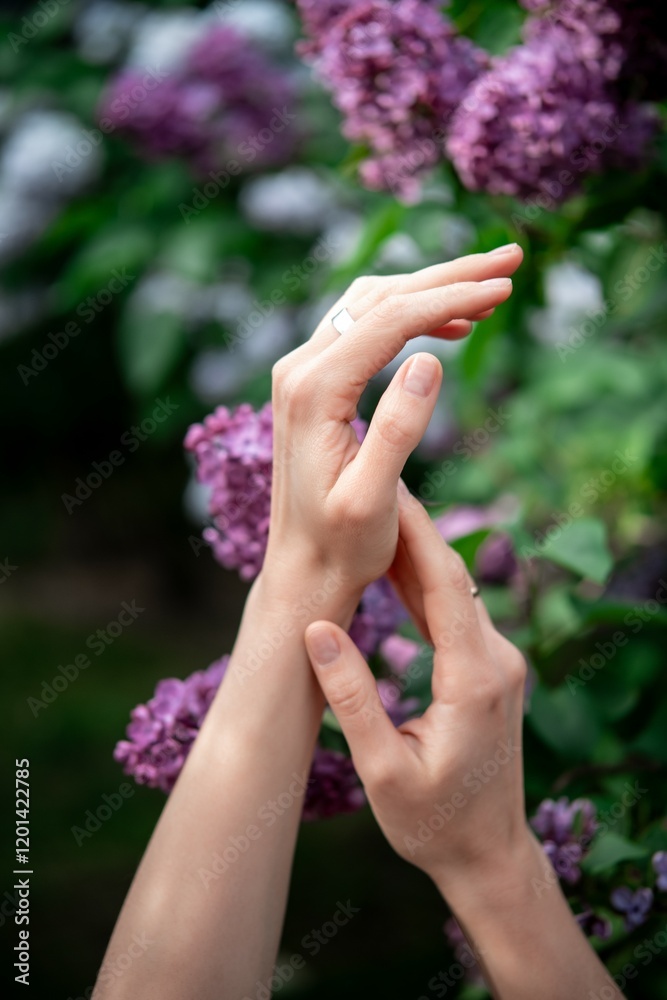 girl's hands on a background of greenery and flowers in summer, close-up of a girl's hands in lilac flowers girl's hands on a background of greenery and flowers in summer, close-up of a girl's hands in lilac flowers