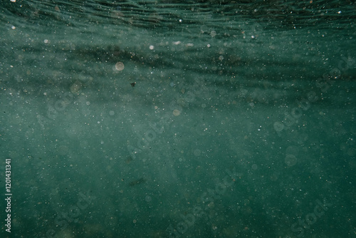 A body of water with a lot of dirt and debris floating on the surface