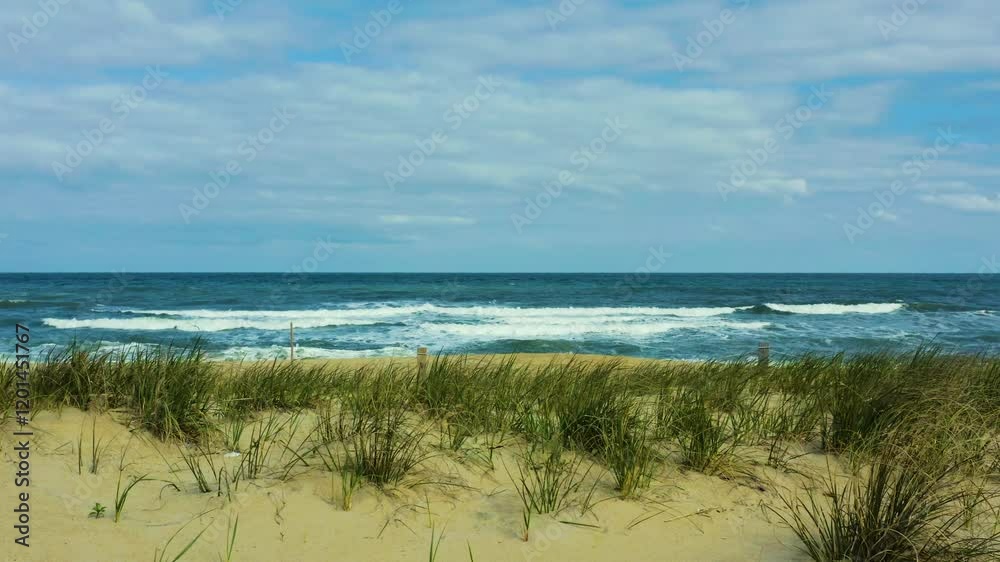 Low drone tracking left above grass fluttering in wind on Virginia Beach oceanfront, golden sands, and vibrant coastal scenery Low drone tracking left above grass fluttering in wind on Virginia Beach oceanfront, golden sands, and vibrant coastal scenery