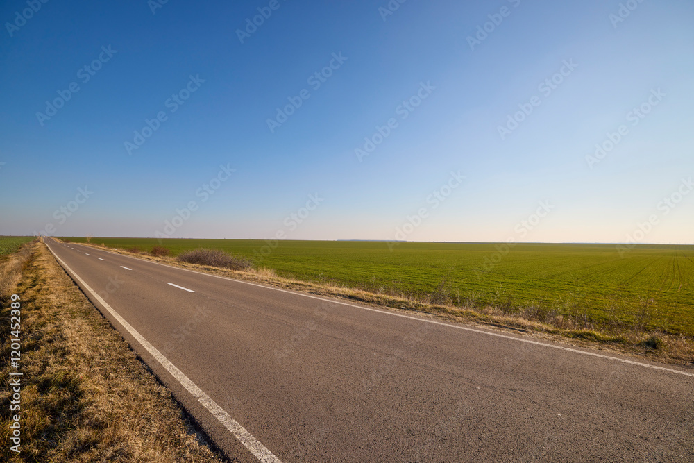Fototapeta premium asphalt road through agricultural field