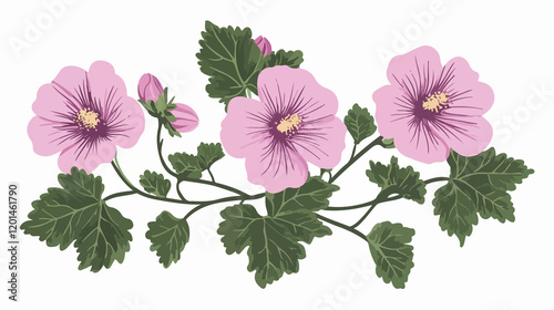Fototapeta Naklejka Na Ścianę i Meble -  Detailed mallow flower isolated vector illustration on white background