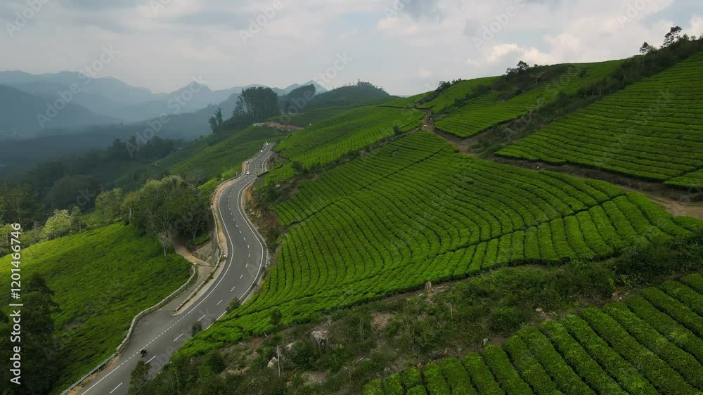 Aerial Drone Shot of Munnar's Breathtaking Hillsides Blanketed in Tea Plants Aerial Drone Shot of Munnar's Breathtaking Hillsides Blanketed in Tea Plants