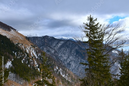 View of Javorjev vrh forest covered mountain in Gorenjska, Slovenia