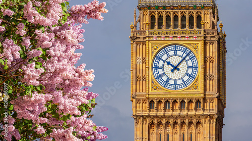 Obraz na płótnie Big Ben tower and blooming lilac tree in spring, London, UK w salonie