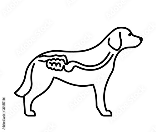 PrintDigestion of dog, line icon. Canine esophagus, stomach, intestine. Veterinary, dog anatomy, canine surgery, first aid, vet clinic, emergency. Linear illustration, editable strokes, vector pictogr