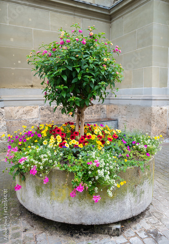 Fototapeta Naklejka Na Ścianę i Meble -  A large stone planter overflowing with colorful flowers. A small flowering tree sits in the center, adding height and visual interest. 