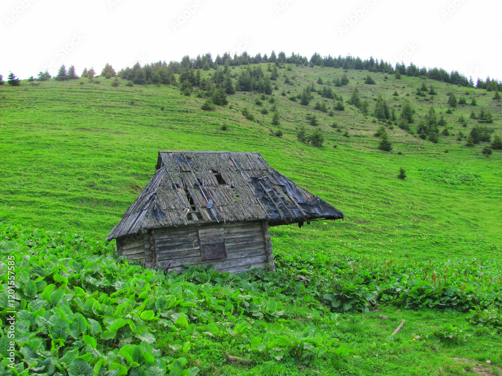 A rustic wooden hut abandoned in a grassy field A rustic wooden hut abandoned in a grassy field