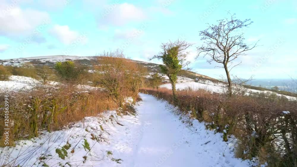 Aerial shot of a snow covered footpath on Cavehill Mountain in Northern Ireland. The camera moves forward, over the snow and past the trees and shrubbery. Shot in 4K, 60fps and in Rec709 color. Aerial shot of a snow covered footpath on Cavehill Mountain in Northern Ireland. The camera moves forward, over the snow and past the trees and shrubbery. Shot in 4K, 60fps and in Rec709 color.