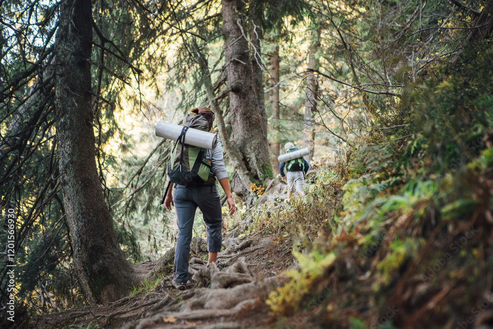 Mother backpacker with son walking in mountain forest in Mala Fatra Slovakia enjoying trek. Active family embracing adventure and outdoor exploration, perfect for family activities and nature lovers. Mother backpacker with son walking in mountain forest in Mala Fatra Slovakia enjoying trek. Active family embracing adventure and outdoor exploration, perfect for family activities and nature lovers.