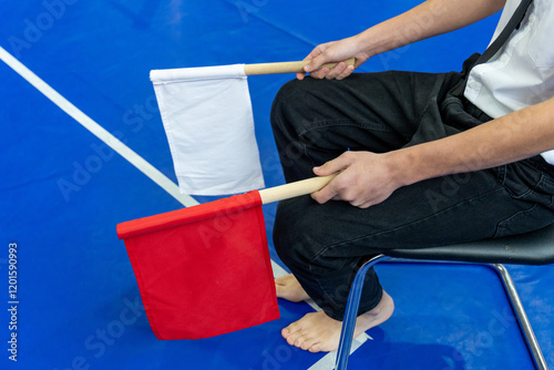 The karate referee sitting beside the mat