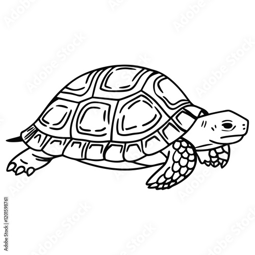 Abstract Tortoise Shell Design
A tortoise with a detailed shell, portrayed in a creative continuous line drawing