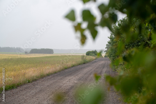 Kaszubska droga wśród pól i lasów photo