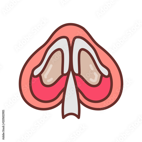 Nasal Septal Filled Icons , Vector illustration
