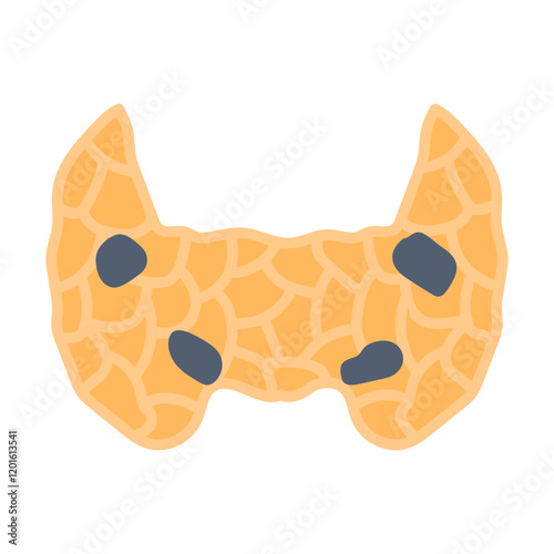 Parathyroid Glands Flat Icons, Vector illustration photo