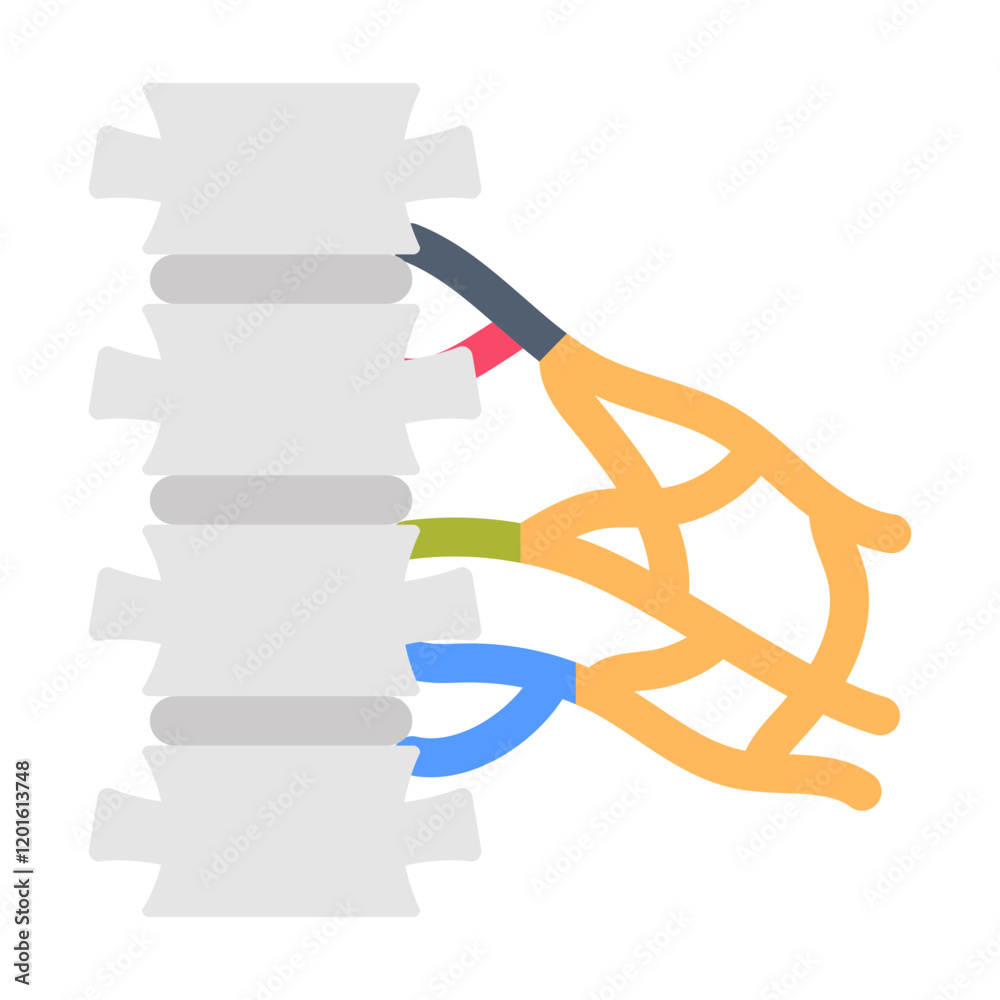 Brachial Plexus Flat Icons, Vector illustration Brachial Plexus Flat Icons, Vector illustration
