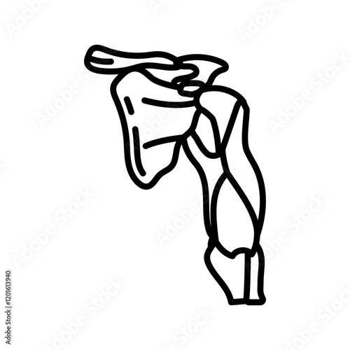 Triceps Muscles Outline Icon, Vector illustration