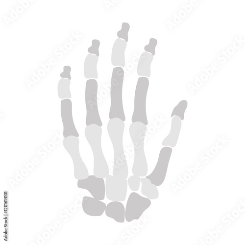 Hand Bone Flat Icons, Vector illustration