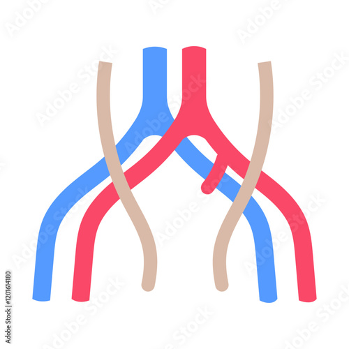 Common Iliac Vein Flat Icons, Vector illustration