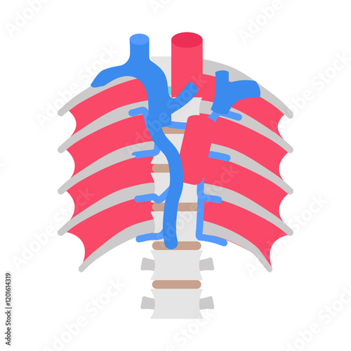 Azygos Vein Flat Icons, Vector illustration