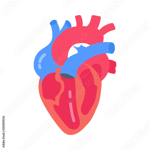 Heart Blood Circulation Flat Icons, Vector illustration