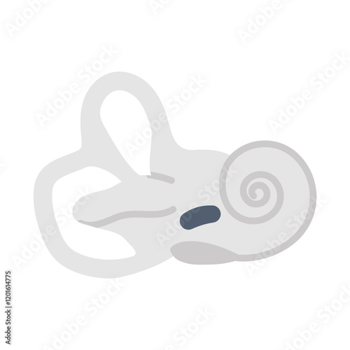 Bony Labyrinth Flat Icons, Vector illustration