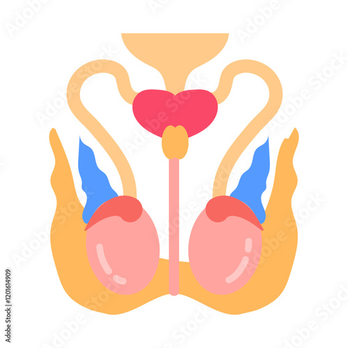 Testicle Nerve Flat Icons, Vector illustration