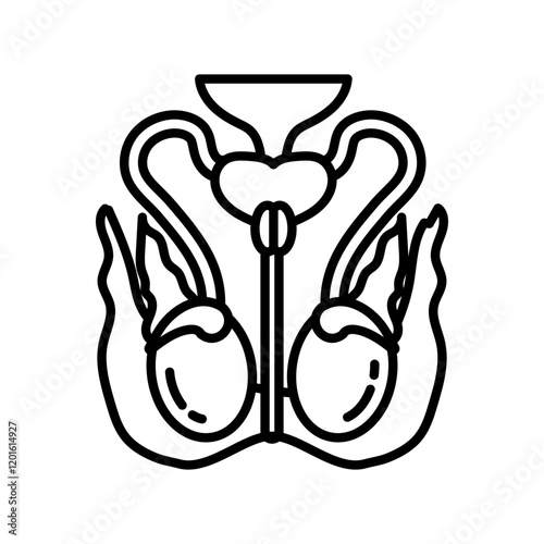Testicle Nerve Outline Icon, Vector illustration