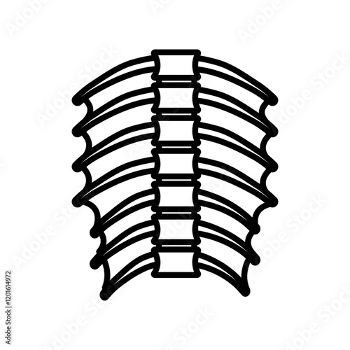 Thoracic Muscles Outline Icon, Vector illustration