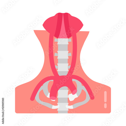 Vasculature Of Pelvis Flat Icons, Vector illustration