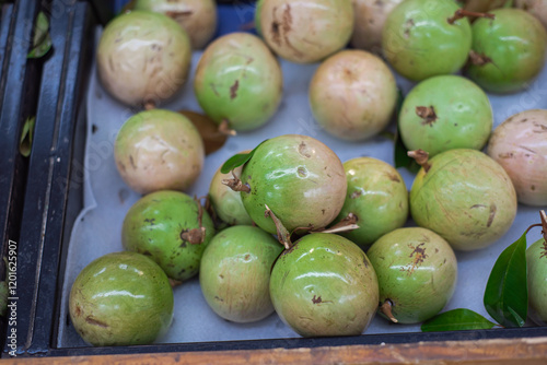 Full background heap of Star apple Vietnamese breast milk fruit or Vu Sua at grocery store shelf in Hanoi, Vietnam, fresh harvested kenitu, caimito, boob milk fruit tropical family Sapotaceae photo