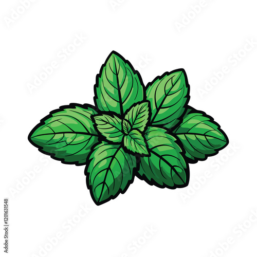 realistic-vector-art-of-fresh-mint-leaves-spread-o.eps