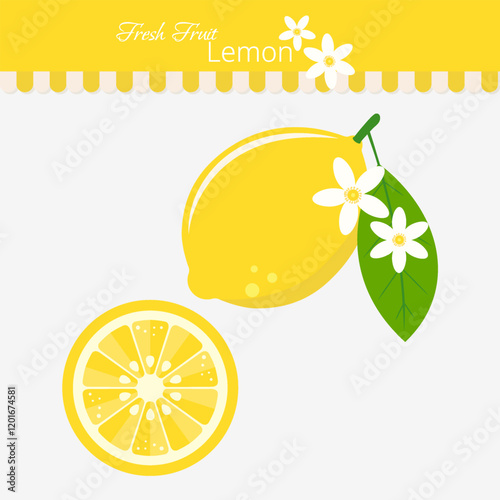 Fresh lemon fruits icon set. Yellow lemon fruit vector. All layered and grouped. Vector.